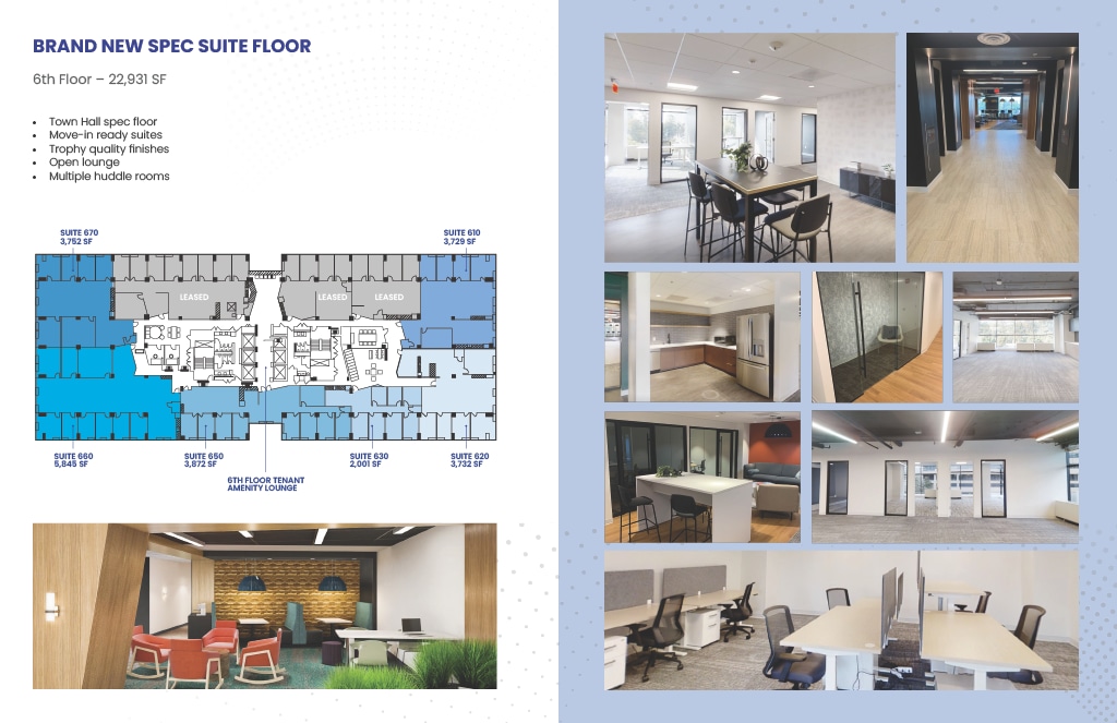 11300 Rockville Pike, North Bethesda, MD à louer Plan d’étage- Image 1 de 2