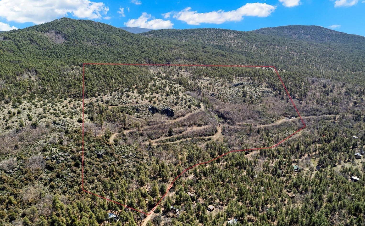 18 Mormon Lake Rd, Mormon Lake, AZ for sale Aerial- Image 1 of 11