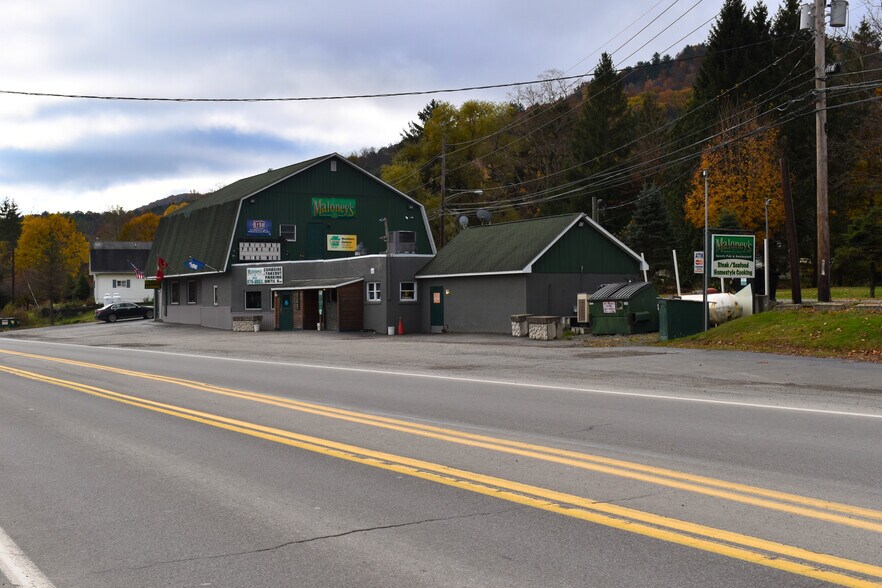 117 Main St, Hallstead, PA à vendre - Photo du bâtiment - Image 3 de 14
