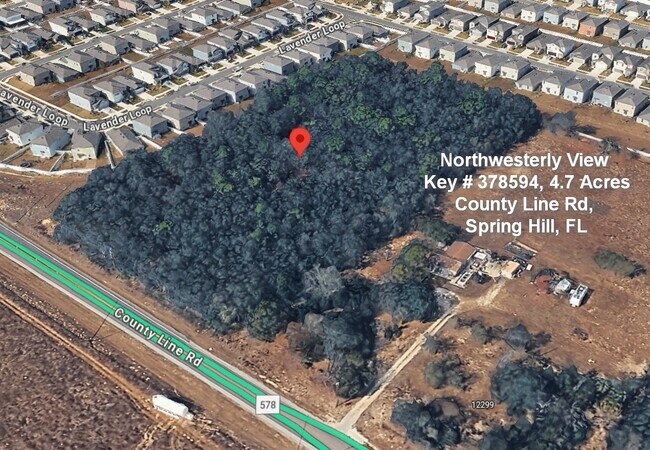 Plus de détails pour 12163 County Line Rd, Spring Hill, FL - Terrain à vendre