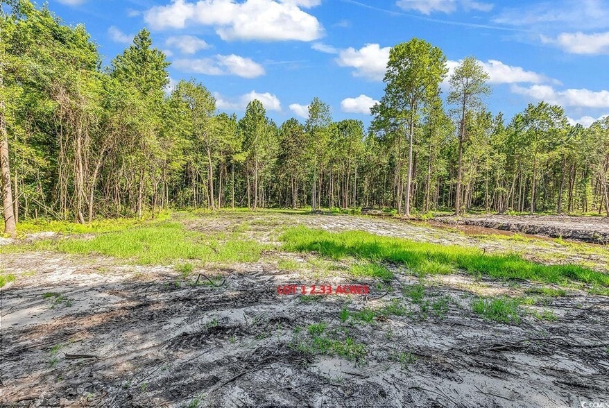 Lot 1 Coats Rd, Loris, SC à vendre - Aérien - Image 2 de 2