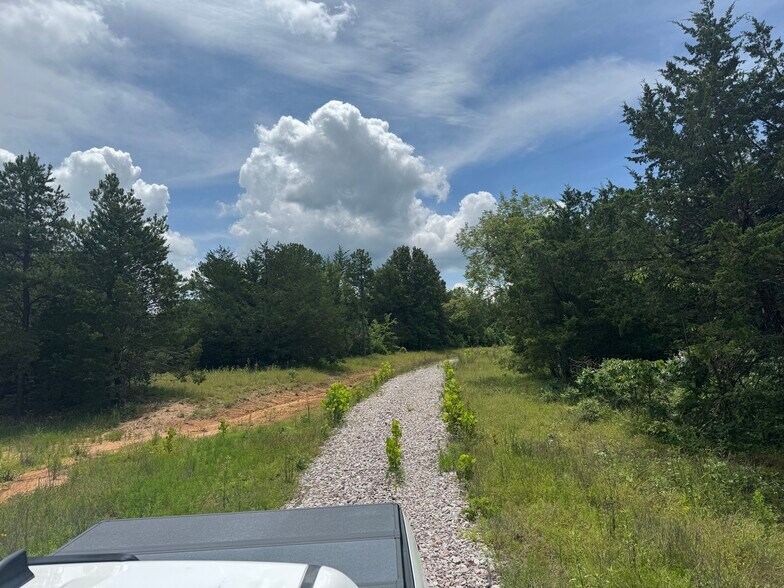 3309 NC 421, Marble Falls, AR à vendre - Photo du bâtiment - Image 3 de 22