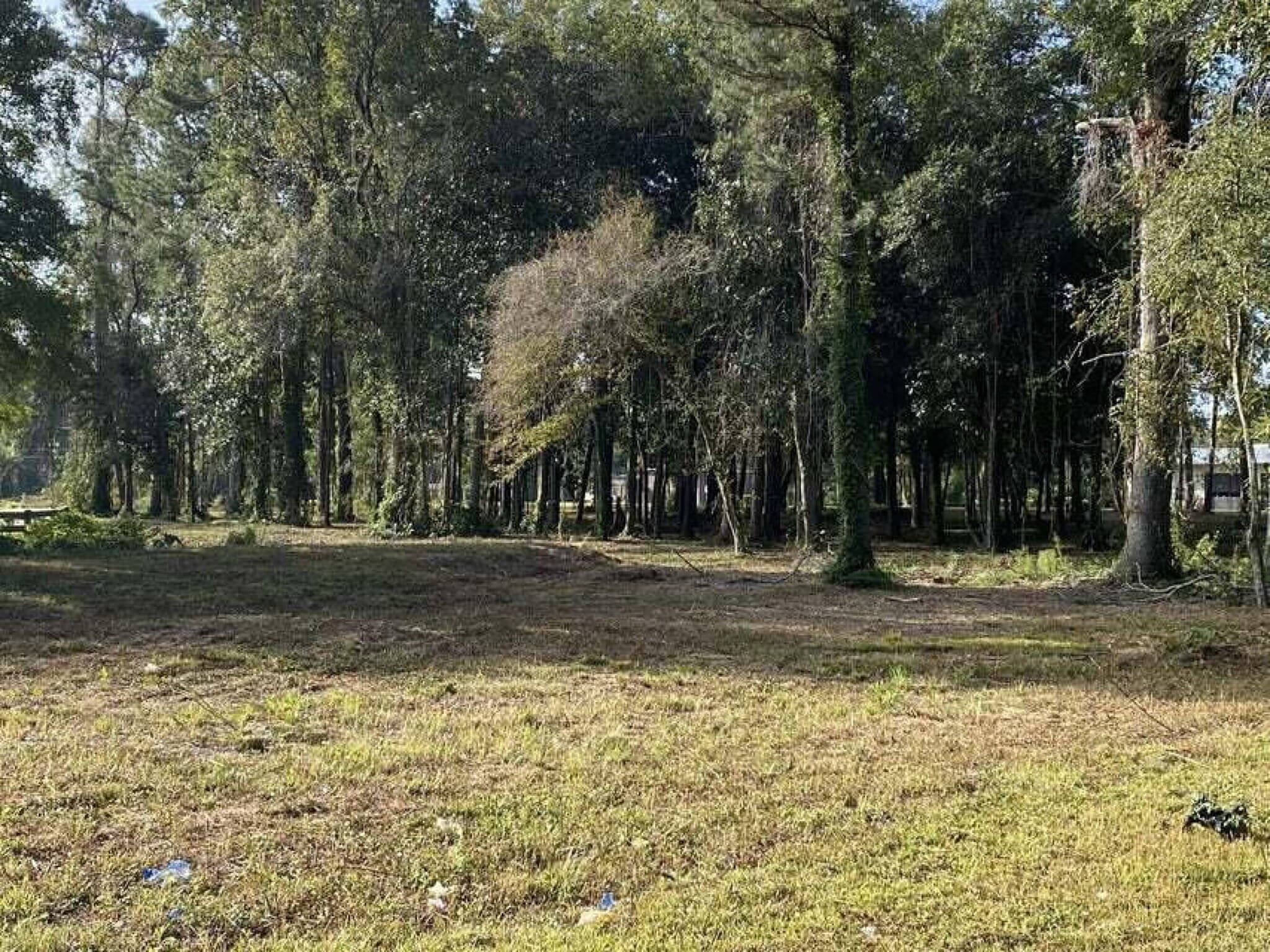 0 Old State Rd, Holly Hill, SC for sale Primary Photo- Image 1 of 8