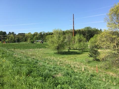 Xxx County Road 24 & 63rd Ave, Cannon Falls, MN for sale - Other - Image 1 of 12