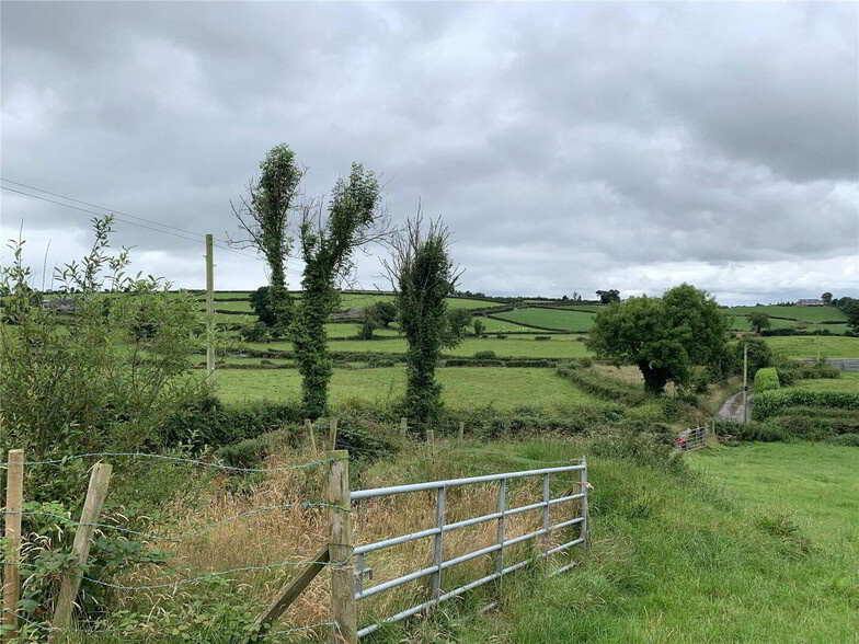 Corernagh Rd, Tandragee à vendre - Photo du bâtiment - Image 2 de 2