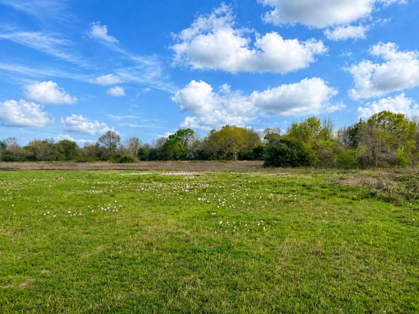TBD FM 1161 Road, Wharton, TX à vendre Photo du bâtiment- Image 1 de 15
