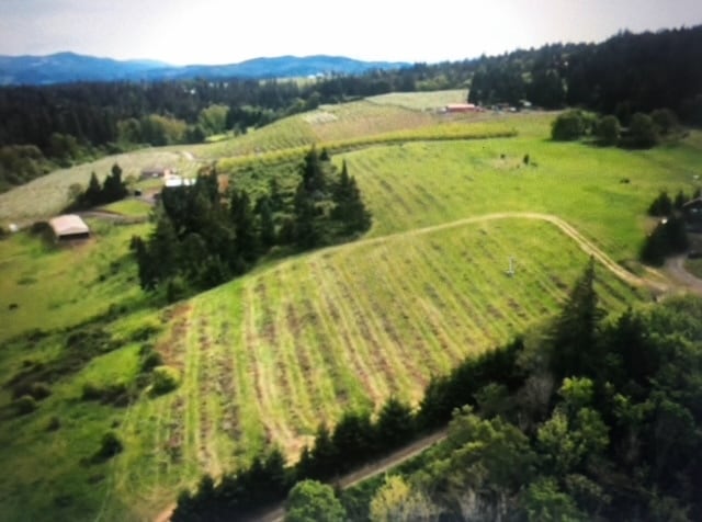 4551 Post Canyon Dr, Hood River, OR for sale - Building Photo - Image 2 of 5