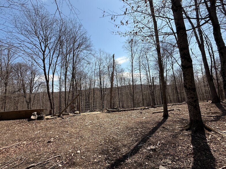 127 Blum Rd, Equinunk, PA à vendre - Photo du bâtiment - Image 3 de 12