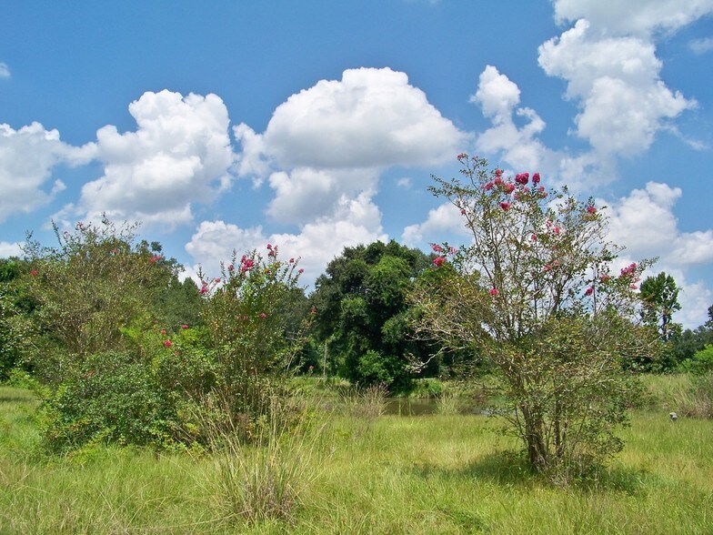 10272 Highway 431, Saint Amant, LA à vendre - Autre - Image 2 de 2