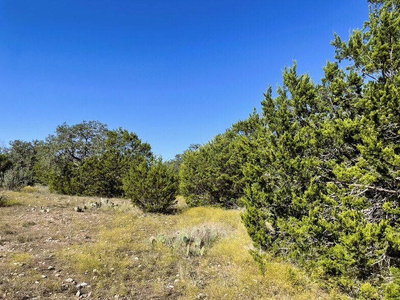 1276 Farm to Market Road 574, Mullin, TX à vendre - Photo du bâtiment - Image 3 de 50