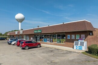 Plus de détails pour 100-110 Light Rd, Oswego, IL - Commerce de détail à vendre