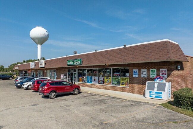 Plus de détails pour 100-110 Light Rd, Oswego, IL - Commerce de détail à vendre