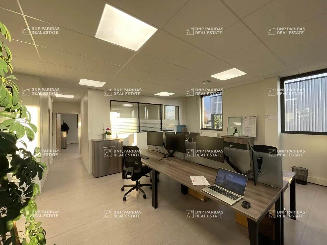 6 Rue Elisa Lemonnier, Le Petit-Quevilly for lease Building Photo- Image 1 of 22