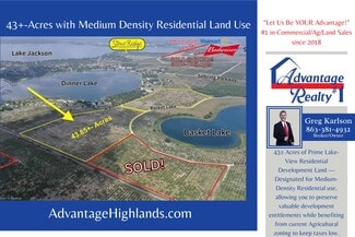 More details for 1115 Basket Lake Rd, Avon Park, FL - Land for Sale