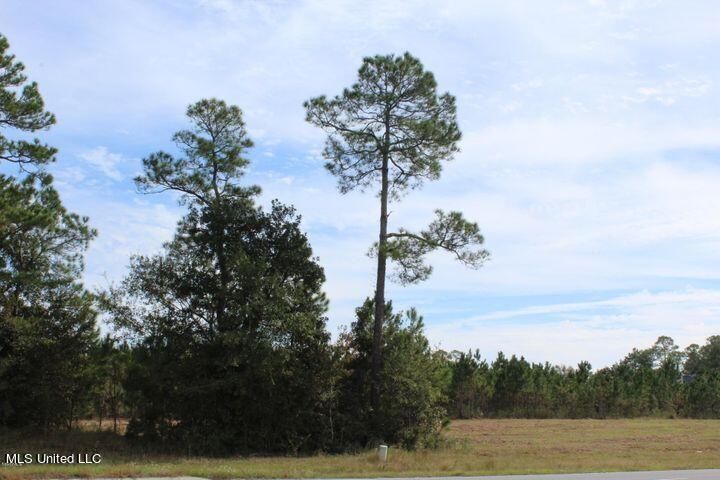 3.5 Acres Tucker Rd, Vancleave, MS à vendre - Autre - Image 2 de 7