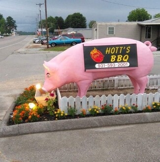 Plus de détails pour 275 S Main St, Lobelville, TN - Commerce de détail à vendre