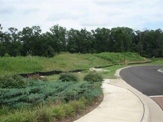 Parkside Village Ct, Osage Beach, MO for sale - Other - Image 2 of 18