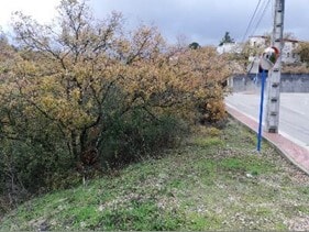 Plus de détails pour Calle Fresno, 10, Villalbilla - Terrain à vendre
