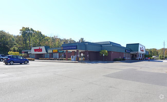 Plus de détails pour 100 Rano Blvd, Vestal, NY - Bureau/Commerce de détail à louer