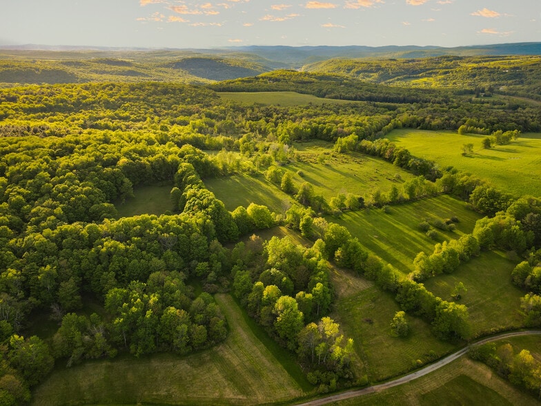 1 Snow Hill Rd, Parksville, NY for sale - Aerial - Image 2 of 28