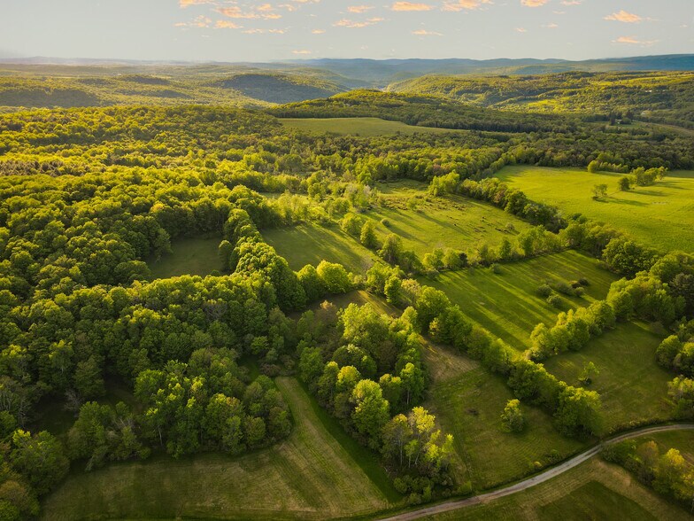 1 Snow Hill Rd, Parksville, NY à vendre - Aérien - Image 2 de 28