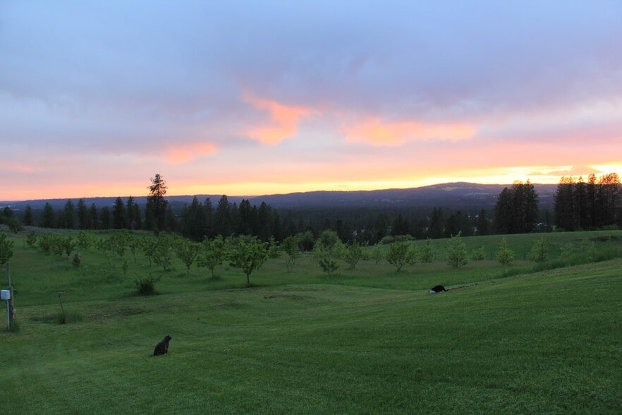 17323 N Lower Greenbluff Rd, Colbert, WA for sale - Building Photo - Image 3 of 3