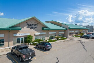 More details for 2340 Pegasus Way NE, Calgary, AB - Office, Industrial for Lease