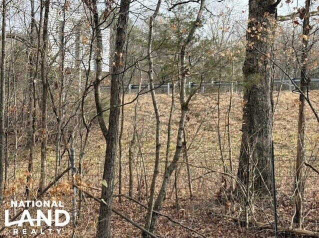 1351A Old Water Works Rd SW, Fort Payne, AL for sale - Aerial - Image 2 of 18