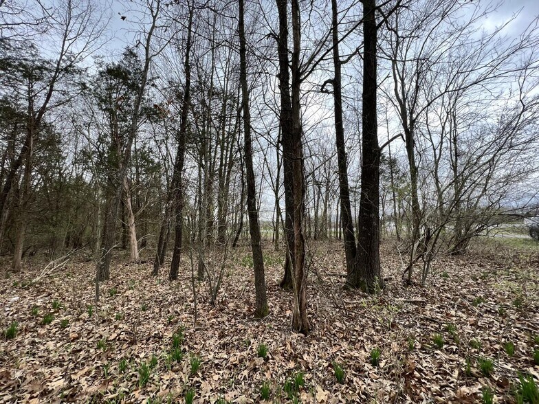 00 US Highway 51, De Soto, IL à vendre - Photo du bâtiment - Image 3 de 11