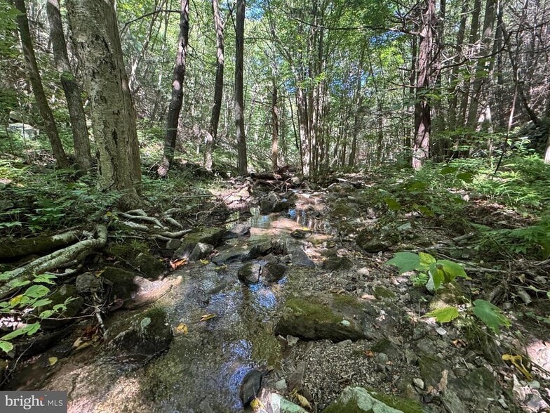 0 Laurel Mountain Rd, Three Springs, PA for sale - Building Photo - Image 2 of 7