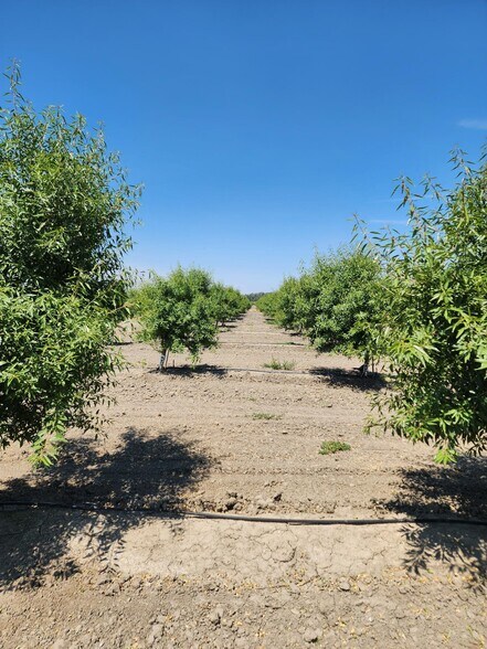 0 0 Cranmore Rd., Robbins, CA à vendre - Photo du bâtiment - Image 3 de 7