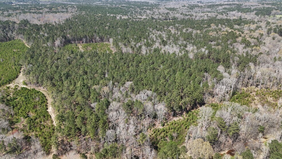 132 Wessinger Ln, Columbia, SC à vendre - Aérien - Image 2 de 6