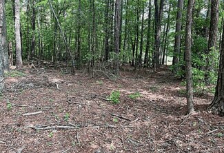 Plus de détails pour Jimmie Mayfield Blvd Fayetteville, GA  30215 United States, Fayetteville, GA - Terrain à vendre