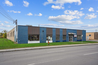 Plus de détails pour 9820 Boul Ray-Lawson, Montréal, QC - Industriel à vendre