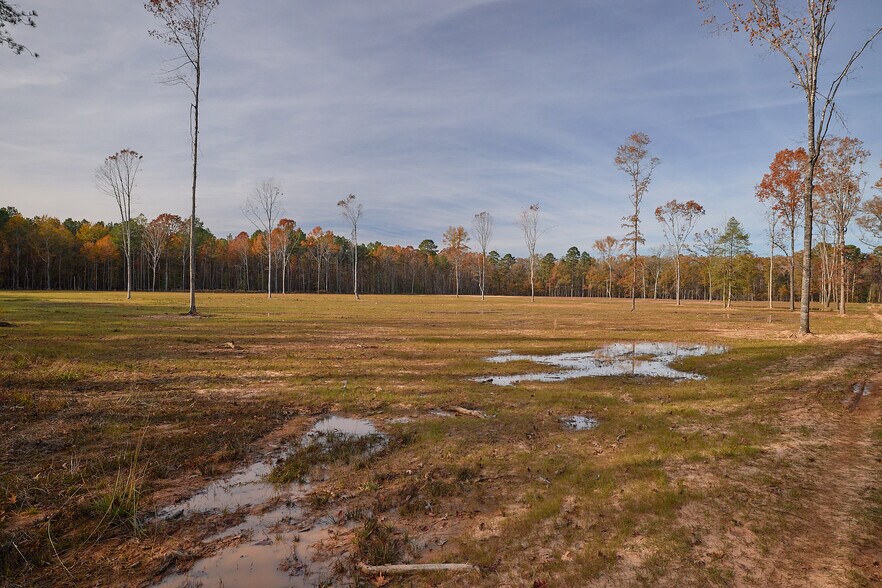 480 Martin Rd, Cotton Valley, LA à vendre - Photo du bâtiment - Image 3 de 52