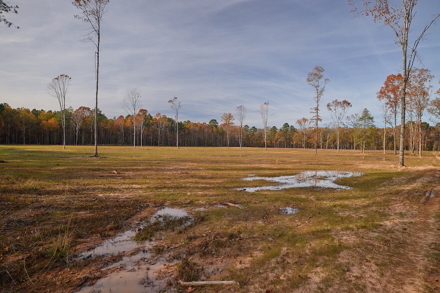 480 Martin Rd, Cotton Valley, LA à vendre - Photo du bâtiment - Image 3 de 52