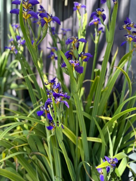 111 Rhode Island St, San Francisco, CA à louer - Photo du bâtiment - Image 2 de 21