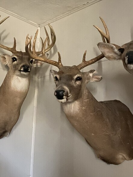 TBD S State Highway 25, Electra, TX for sale - Other - Image 1 of 19