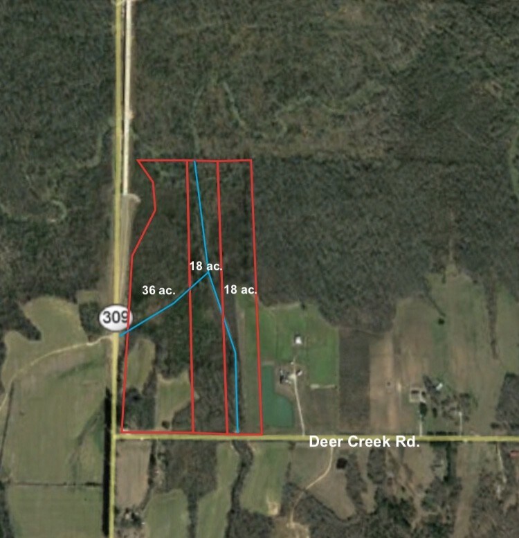2900 Deer Creek Rd, Byhalia, MS à vendre Aérien- Image 1 de 2