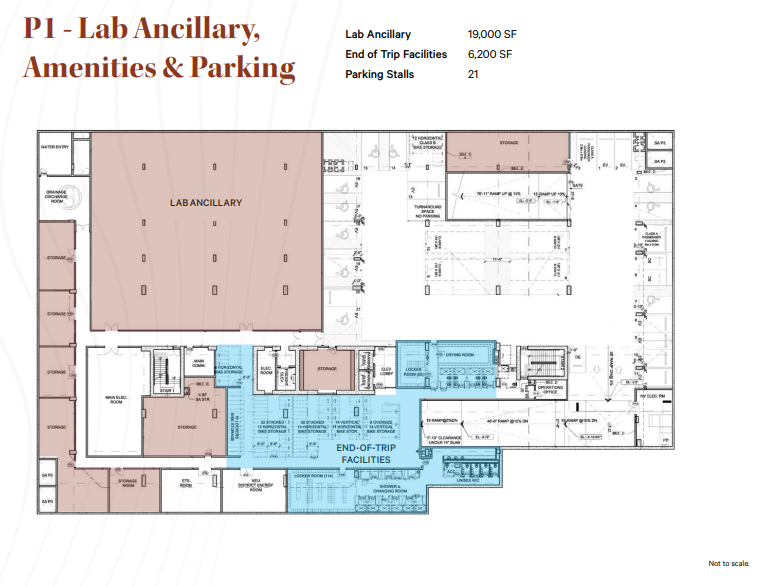 1629 Scotia St, Vancouver, BC for lease Floor Plan- Image 1 of 1