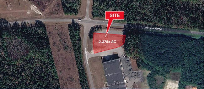 Plus de détails pour 101 Commercial Dr, Woodbine, GA - Terrain à louer