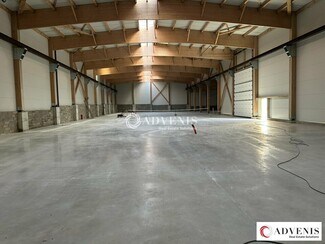 Plus de détails pour Flex à vendre