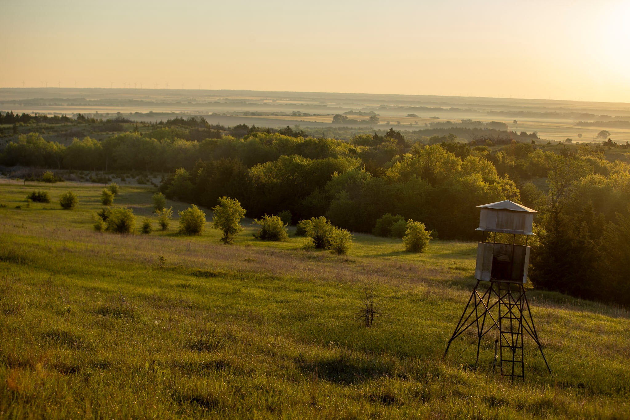 250 Ute Rd, Delphos, KS à vendre Photo principale- Image 1 de 17