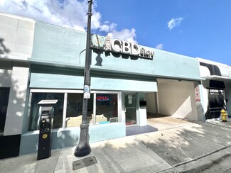 Plus de détails pour 1741-1743 NW 22nd St, Miami, FL - Vente au détail à louer