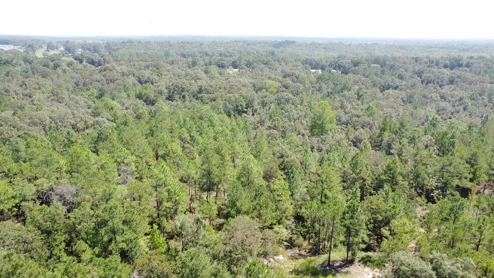 HWY 431, Seale, AL à vendre - Vidéo sur l’inscription commerciale - Image 2 de 4