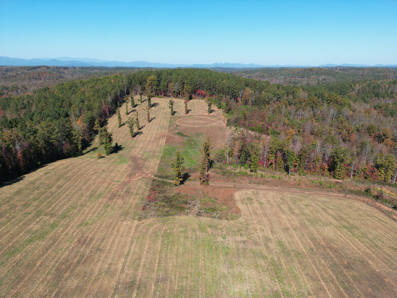 Corner of Ponder Rd. and Pea Ridge Rd., Mill Spring, NC à vendre - Photo du bâtiment - Image 1 de 1