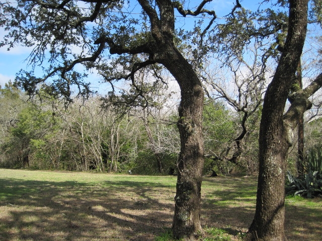 101 Creek Rd, Dripping Springs, TX à vendre - Photo principale - Image 1 de 1