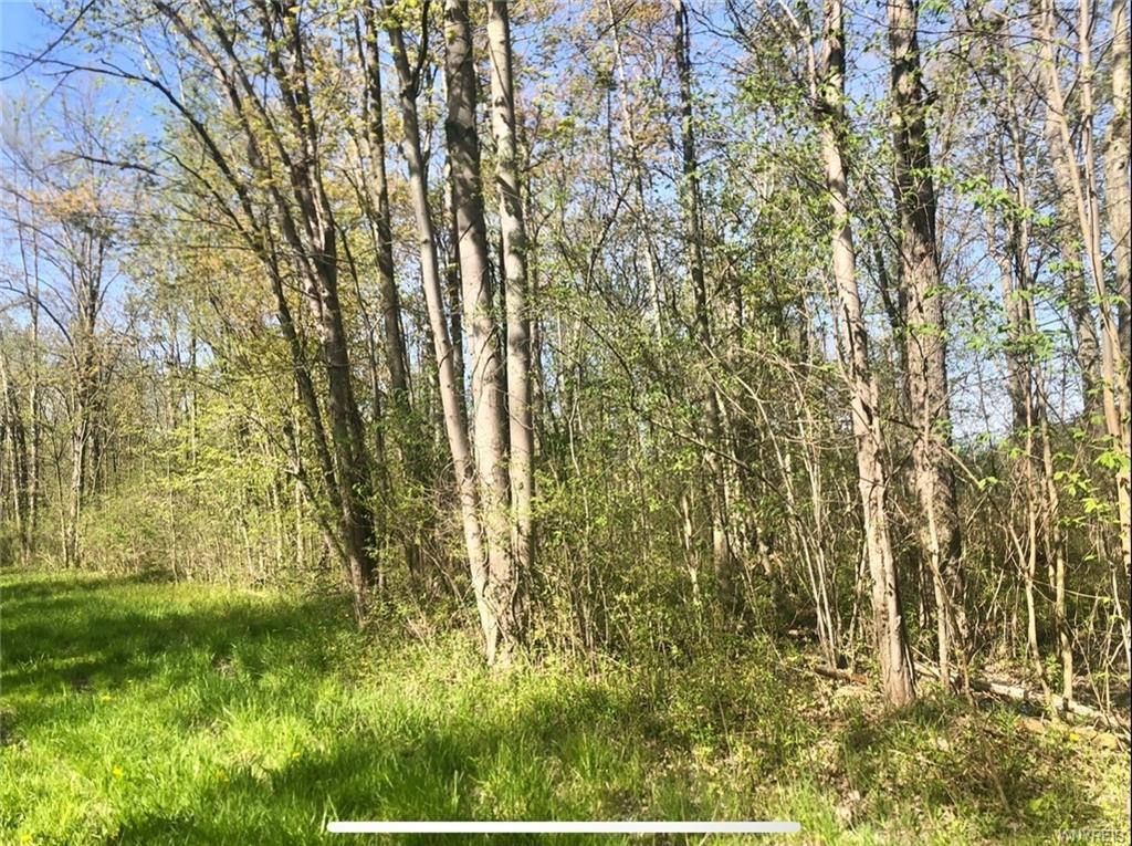 0 Killian Road, North Tonawanda, NY à vendre Photo principale- Image 1 de 10