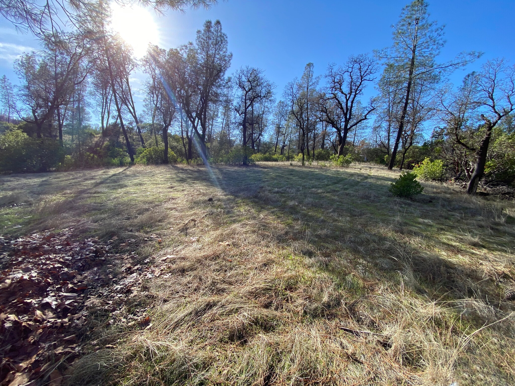 15785 Placer ct, Corning, CA for sale Primary Photo- Image 1 of 25
