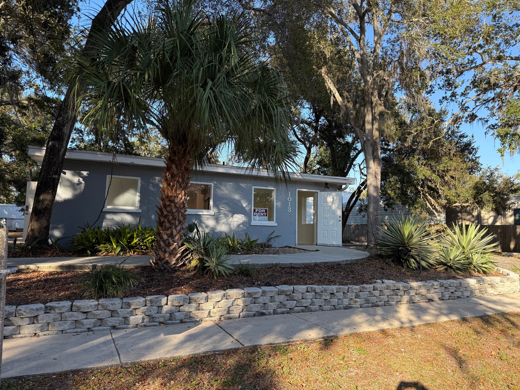 1013 Park Ct, Safety Harbor, FL for lease Primary Photo- Image 1 of 16